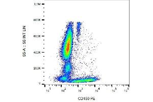 Surface staining of CD150 in human peripheral blood with anti-CD150 (SLAM. (SLAMF1 antibody  (PE))
