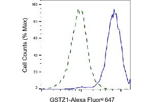 Flow cytometric analysis of GSTZ1 expression in HeLa cells using GSTZ1 antibody (ABIN7798761), 1:2,000).