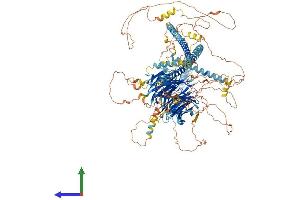 Protein Structure (PS) image for Sperm Associated Antigen 9 (SPAG9) (AA 1-1321) protein (His tag) (ABIN7563795)