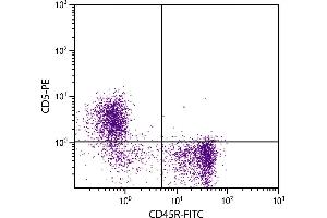 BALB/c mouse splenocytes were stained with Rat Anti-Mouse CD5-PE. (CD5 antibody)