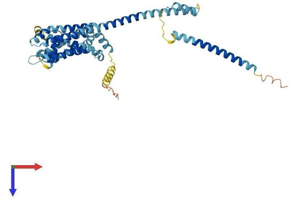 CATSPER3 Protein (AA 1-395) (His tag)