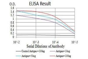 Black line: Control Antigen (100 ng),Purple line: Antigen (10 ng), Blue line: Antigen (50 ng), Red line:Antigen (100 ng) (ADIPOQ antibody  (AA 16-154))