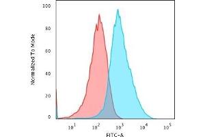 Flow Cytometric Analysis of PFA-fixed HepG2 cells using Glypican-3 Mouse Monoclonal Antibody (GPC3/863) followed by Goat anti- Mouse- IgG-CF488 (Blue); Isotype Control (Red). (Glypican 3 antibody)
