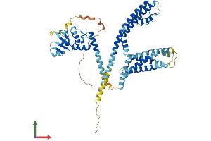 AlphaFold protein structure predicition of Mouse Recombinant Kcng4 Protein, UniprotID Q80XM3