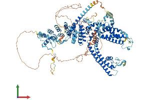 AlphaFold protein structure predicition of Mouse Recombinant Trpc5 Protein, UniprotID Q9QX29