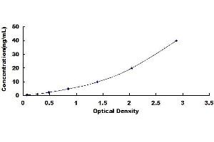 Typical standard curve (Transglutaminase 2 ELISA Kit)