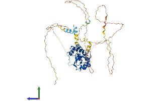 AlphaFold protein structure predicition of Mouse Recombinant Cdc25a Protein, UniprotID P48964