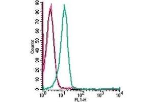 Cell surface detection of CX3CR1 in live intact human Jurkat T-cell leukemia cells: (black line) Cells. (CX3CR1 antibody  (Extracellular) (FITC))