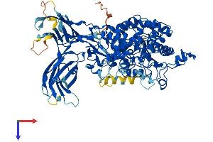 AlphaFold protein structure predicition of Human Recombinant PLA2G4D Protein, UniprotID Q86XP0 (PLA2G4D Protein (AA 1-818) (His tag))