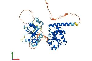 AlphaFold protein structure predicition of Human Recombinant DUSP9 Protein, UniprotID Q99956