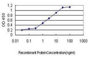 Detection limit for recombinant GST tagged TCF3 is approximately 0. (TCF3 antibody  (AA 545-654))