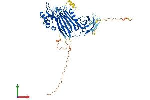 Protein Structure (PS) image for Inositol Polyphosphate-5-Phosphatase K (INPP5K) (AA 1-468) protein (His tag) (ABIN7559150)