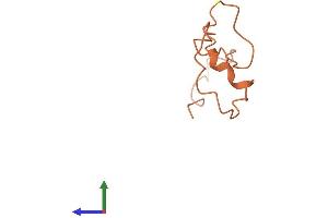 AlphaFold protein structure predicition of Human Recombinant KRTAP6-1 Protein, UniprotID Q3LI64 (KRTAP6-1 Protein (AA 1-71) (Fc Tag))