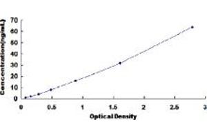 Typical standard curve (C7 ELISA Kit)