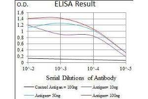 Black line: Control Antigen (100 ng), Purple line: Antigen(10 ng), Blue line: Antigen (50 ng), Red line: Antigen (100 ng), (MAP1LC3A antibody  (AA 1-121))