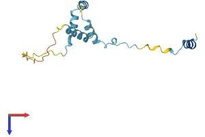 AlphaFold protein structure predicition of Human Recombinant RPS19BP1 Protein, UniprotID Q86WX3 (RPS19BP1 Protein (AA 1-136) (His tag))