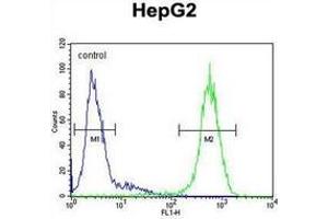Flow cytometric analysis of HepG2 cells using CD102/ICAM2 Antibody (Center) Cat.