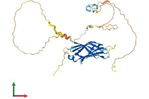 AlphaFold protein structure predicition of Mouse Recombinant C2cd4d Protein, UniprotID P0CG09 (C2cd4d Protein (AA 1-341) (His tag))