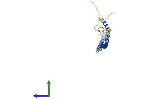 Protein Structure (PS) image for Breast Cancer Metastasis Suppressor 1 (BRMS1) (AA 1-246) protein (His tag) (ABIN7552775)