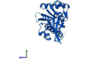 AlphaFold protein structure predicition of Mouse Recombinant Polr2e Protein, UniprotID Q80UW8