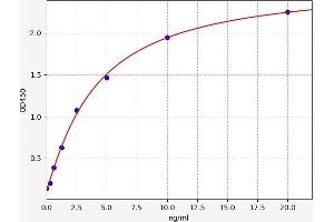 Typical standard curve (NFKB2 ELISA Kit)