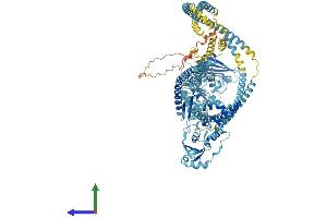 AlphaFold protein structure predicition of Human Recombinant SMC5 Protein, UniprotID Q8IY18 (SMC5 Protein (AA 1-1101) (His tag))