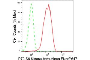 Flow cytometric analysis of P70 S6 Kinase beta expression in HeLa cells using P70 S6 Kinase beta antibody (ABIN7800226), 1:2,000).