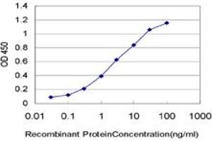 Detection limit for recombinant GST tagged HIC1 is approximately 0. (HIC1 antibody  (AA 396-453))