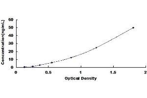 Typical standard curve (LDL ELISA Kit)