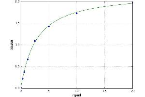 A typical standard curve (ANG ELISA Kit)