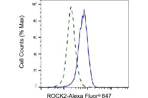 Validation of ROCK2 knockdown using flow cytometry. (Recombinant ROCK2 antibody)