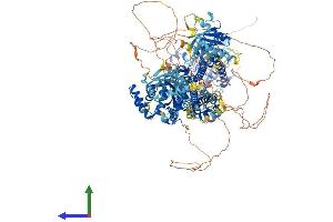 AlphaFold protein structure predicition of Mouse Recombinant Arhgap35 Protein, UniprotID Q91YM2