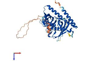 ACOT7 Protein (AA 1-380) (His tag)