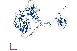 AlphaFold protein structure predicition of Mouse Recombinant Phf7 Protein, UniprotID Q9DAG9 (PHF7 Protein (AA 1-307) (His tag))