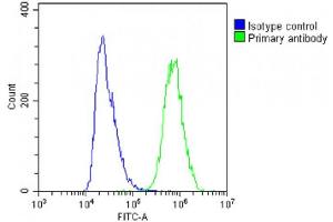 Overlay histogram showing A431 cells stained with (ABIN6242768 and ABIN6578855)(green line). (alpha Adducin antibody  (AA 428-462))