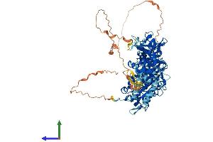 Protein Structure (PS) image for NOP2/Sun Domain Family, Member 2 (NSUN2) (AA 1-757) protein (His tag) (ABIN7563643)