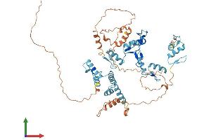 AlphaFold protein structure predicition of Human Recombinant ZKSCAN4 Protein, UniprotID Q969J2 (ZKSCAN4 Protein (AA 1-545) (His tag))