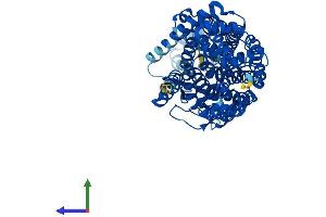 AlphaFold protein structure predicition of Human Recombinant SLC6A20 Protein, UniprotID Q9NP91 (SLC6A20 Protein (AA 1-592) (His tag))