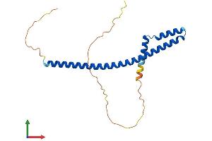 Protein Structure (PS) image for Amino-terminal Enhancer of Split (AES) (AA 1-197) protein (His tag) (ABIN7556631)