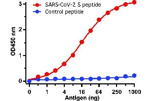 SARS-CoV-2 Spike Antikörper  (C-Term)
