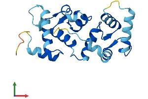 AlphaFold protein structure predicition of Mouse Recombinant Cib4 Protein, UniprotID Q9D9N5 (CIB4 Protein (AA 1-185) (His tag))