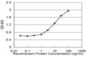 Detection limit for recombinant GST tagged ASAH1 is approximately 1ng/ml as a capture antibody. (ASAH1 antibody  (AA 25-124))