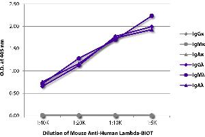 ELISA plate was coated with purified human IgGκ, IgMκ, IgAκ, IgGλ, IgMλ, and IgAλ. (Mouse anti-Human lambda (Chain lambda) Antibody (Biotin))