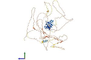 AlphaFold protein structure predicition of Human Recombinant ELF1 Protein, UniprotID P32519 (ELF1 Protein (AA 1-619) (His tag))