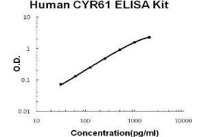 Human CYR61/CCN1 PicoKine ELISA Kit standard curve