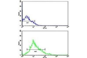 Flow cytometric analysis of HL-60 cells using LIN28B antibody (green) compared to a negative control (blue).
