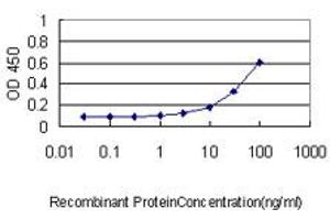 Detection limit for recombinant GST tagged MAPK12 is approximately 1ng/ml as a capture antibody. (MAPK12 antibody  (AA 1-367))