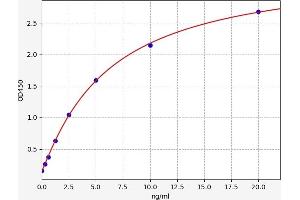 Phospholipase B ELISA Kit