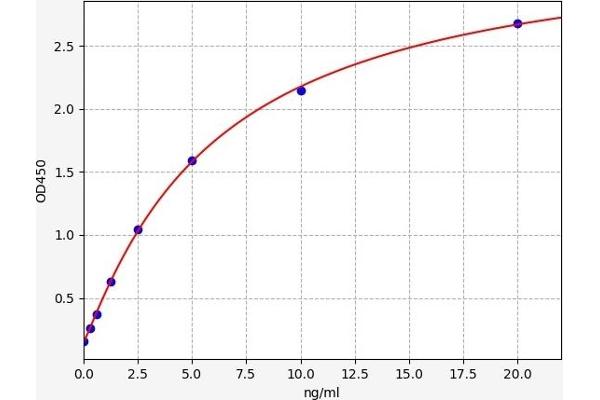 Phospholipase B ELISA Kit