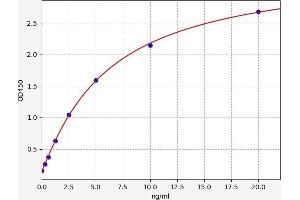 Typical standard curve (Phospholipase B ELISA Kit)